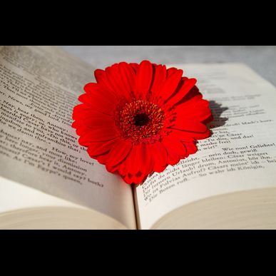 墨田でカッサを使って美肌になりたい方へ